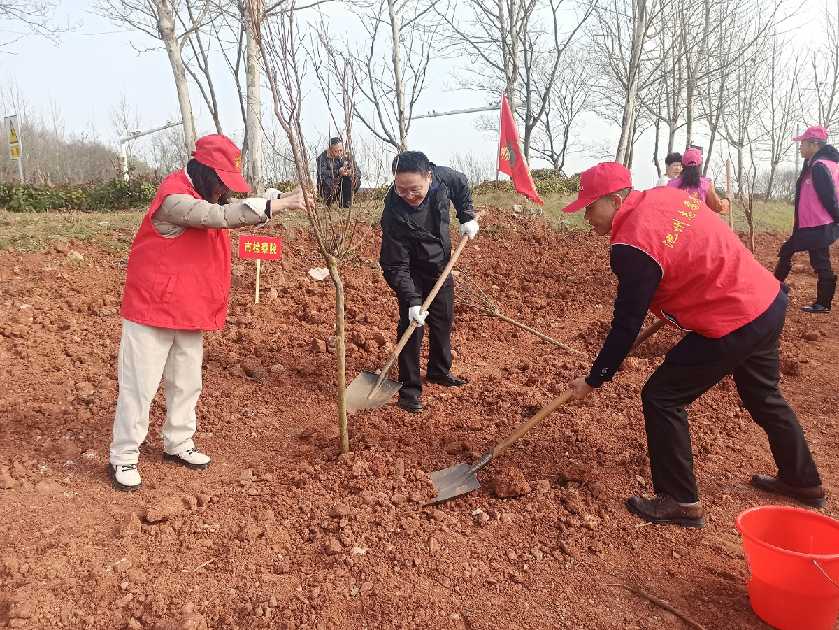  The Municipal Procuratorate organized police officers to carry out voluntary tree planting activities